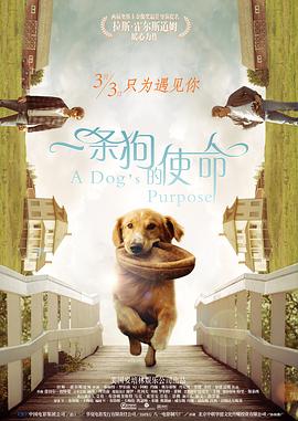 中文字幕不卡一区二区三区